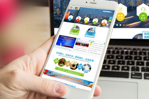 域名對網站至關重要營銷型和展示型網站區(qū)別