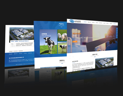 網(wǎng)站制作需要多少錢來完成網(wǎng)站建設(shè)呢？