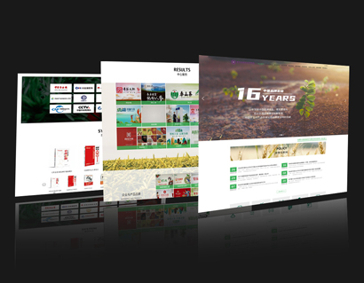 北京網(wǎng)站建設(shè)